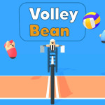 Volley Bean